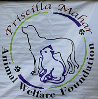 Priscilla Mahar Animal Welfare Foundation, Syracuse NY